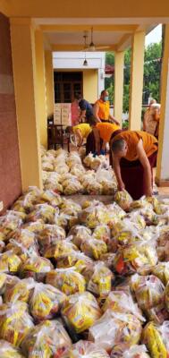 6. Pandemic Relief