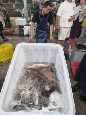 Tsethar urodziny Rinpocze 2023