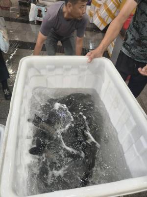 Tsethar urodziny Rinpocze 2023