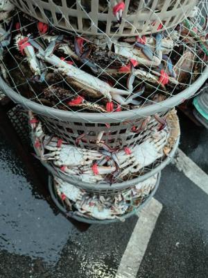 Tsethar urodziny Rinpocze 2023