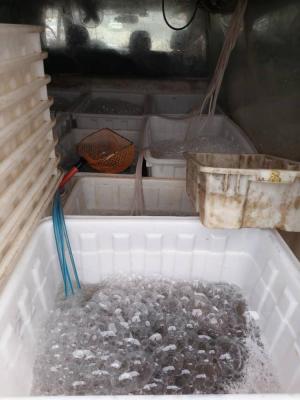 Tsethar urodziny Rinpocze 2023