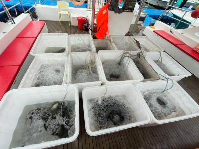 Tsethar urodziny Rinpocze 2023