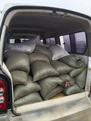 Tsethar urodziny Rinpocze 2023