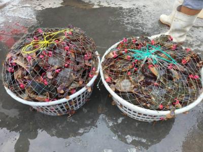 Tsethar urodziny Rinpocze 2023