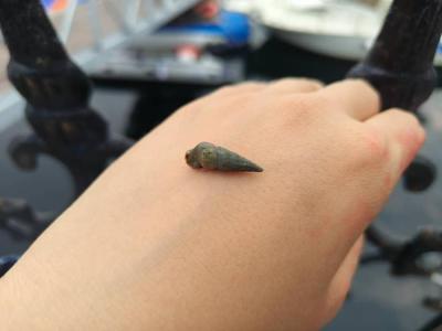 Tsethar urodziny Rinpocze 2023