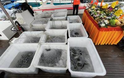 Tsethar urodziny Rinpocze 2023