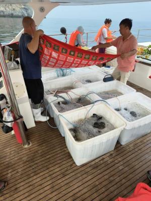 Tsethar urodziny Rinpocze 2023